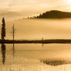 Herbst in Norwegen