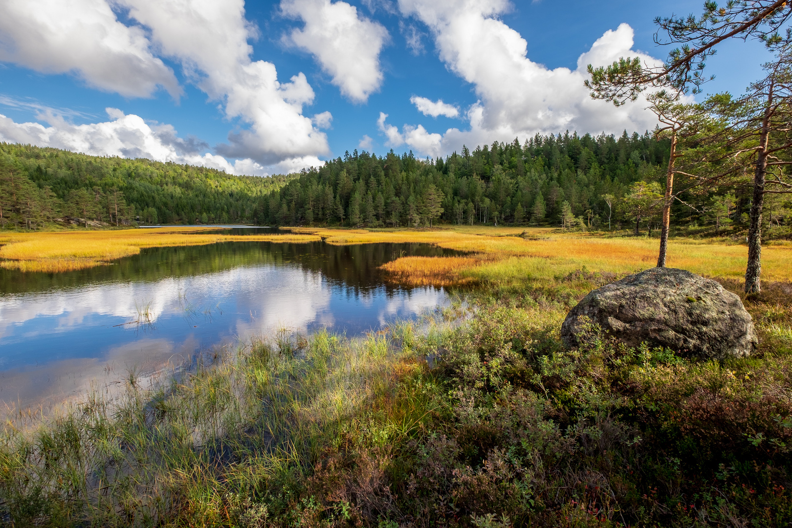 Herbst in Norwegen