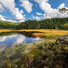 Herbst in Norwegen