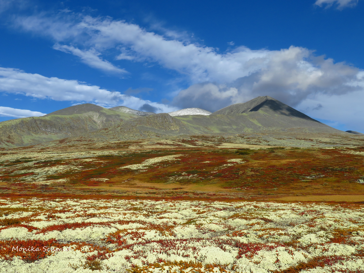 Herbst in Norwegen Rondane