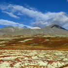 Herbst in Norwegen Rondane