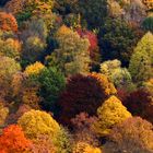 Herbst in NRW