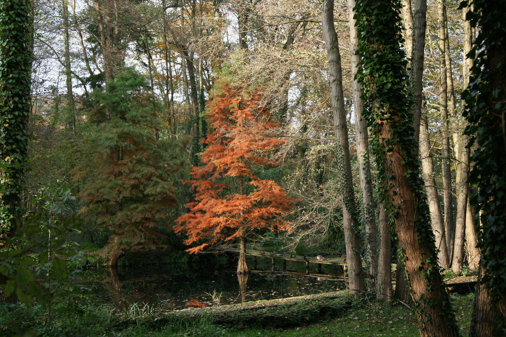 Herbst in NRW