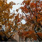 Herbst in Nürnberg (III)