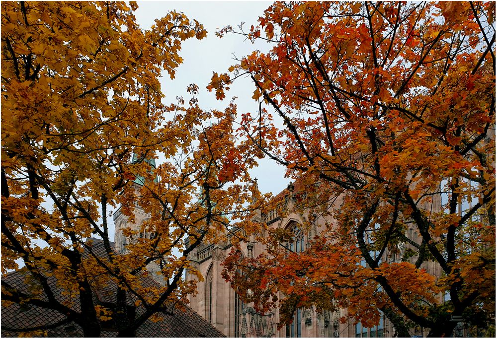 Herbst in Nürnberg (III)