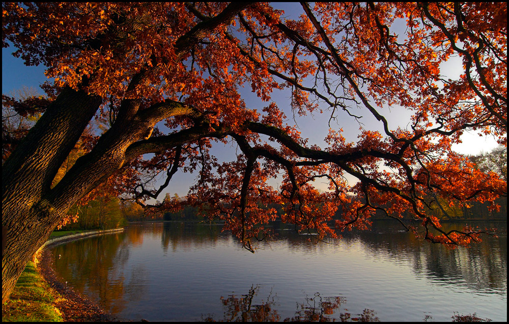 Herbst in Nymphenburg