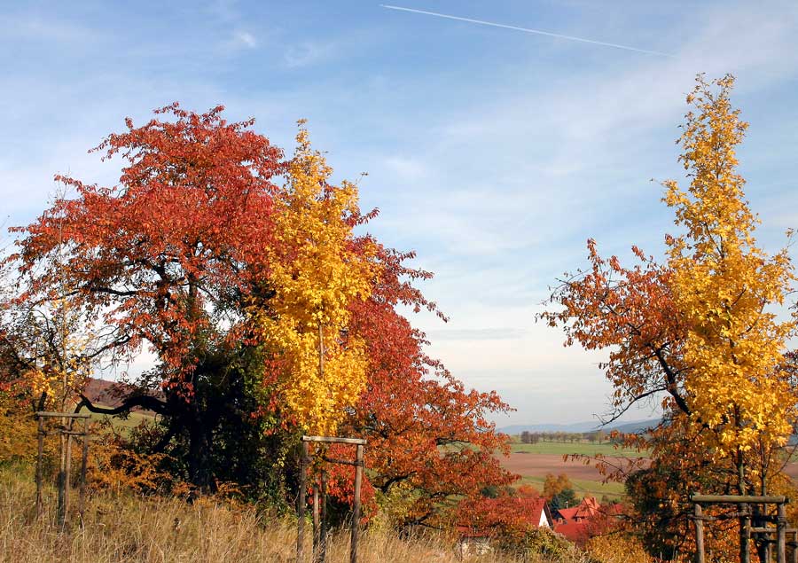 Herbst in Oberalba