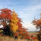 Herbst in Oberalba