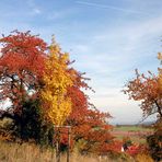 Herbst in Oberalba