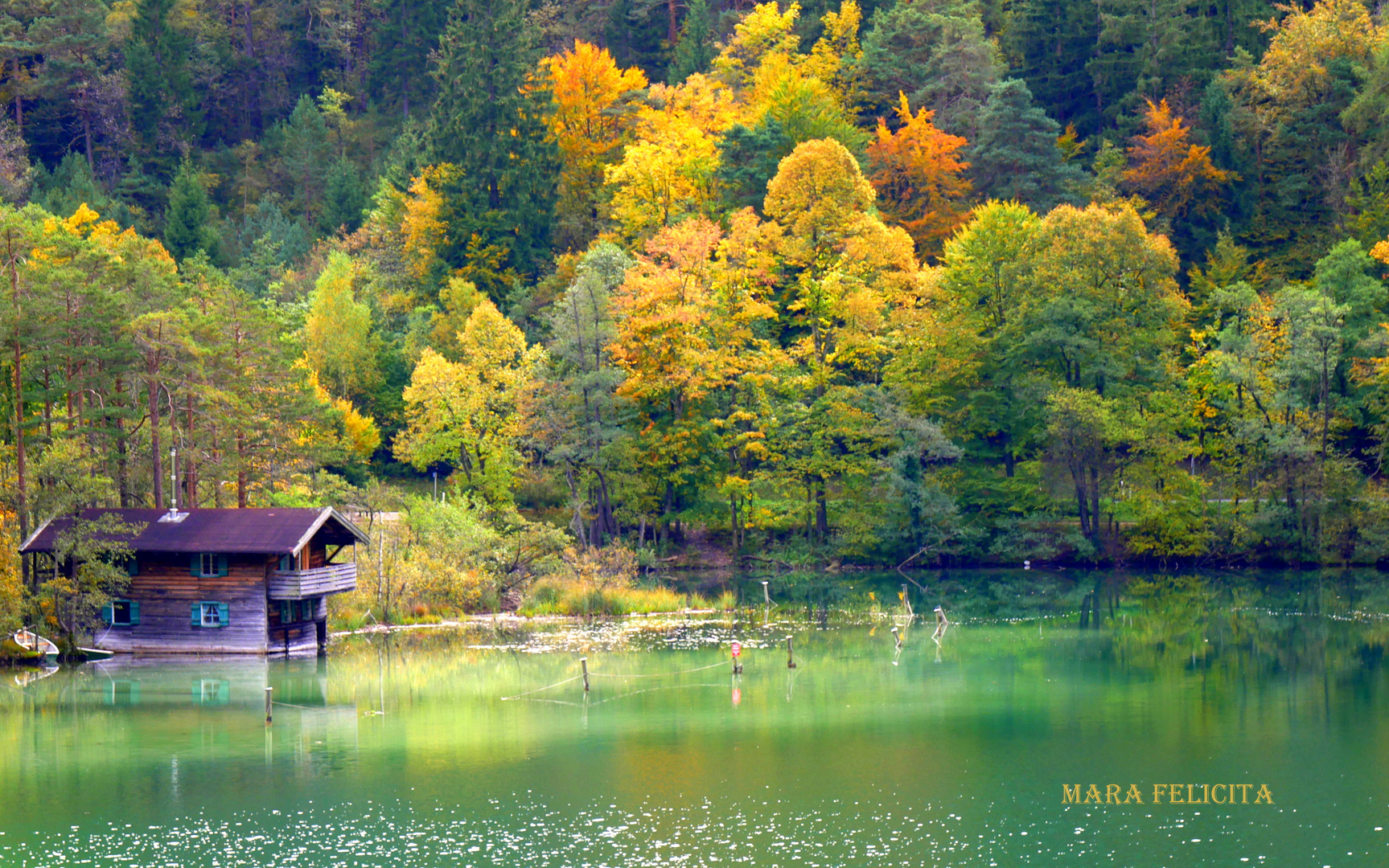 HERBST IN OBERBAYERN  - am Thumsee