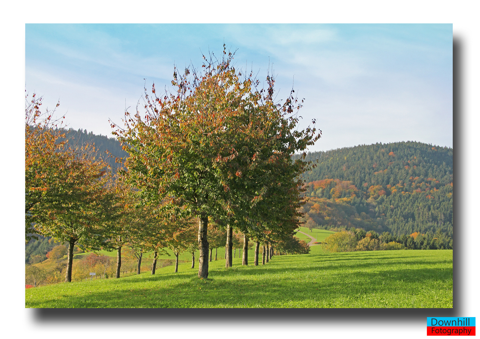 Herbst in Oberharmersbach NO.2