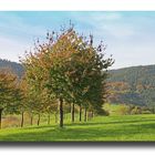 Herbst in Oberharmersbach NO.2