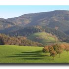 Herbst in Oberharmersbach NO.4 - Die Schatten werden länger