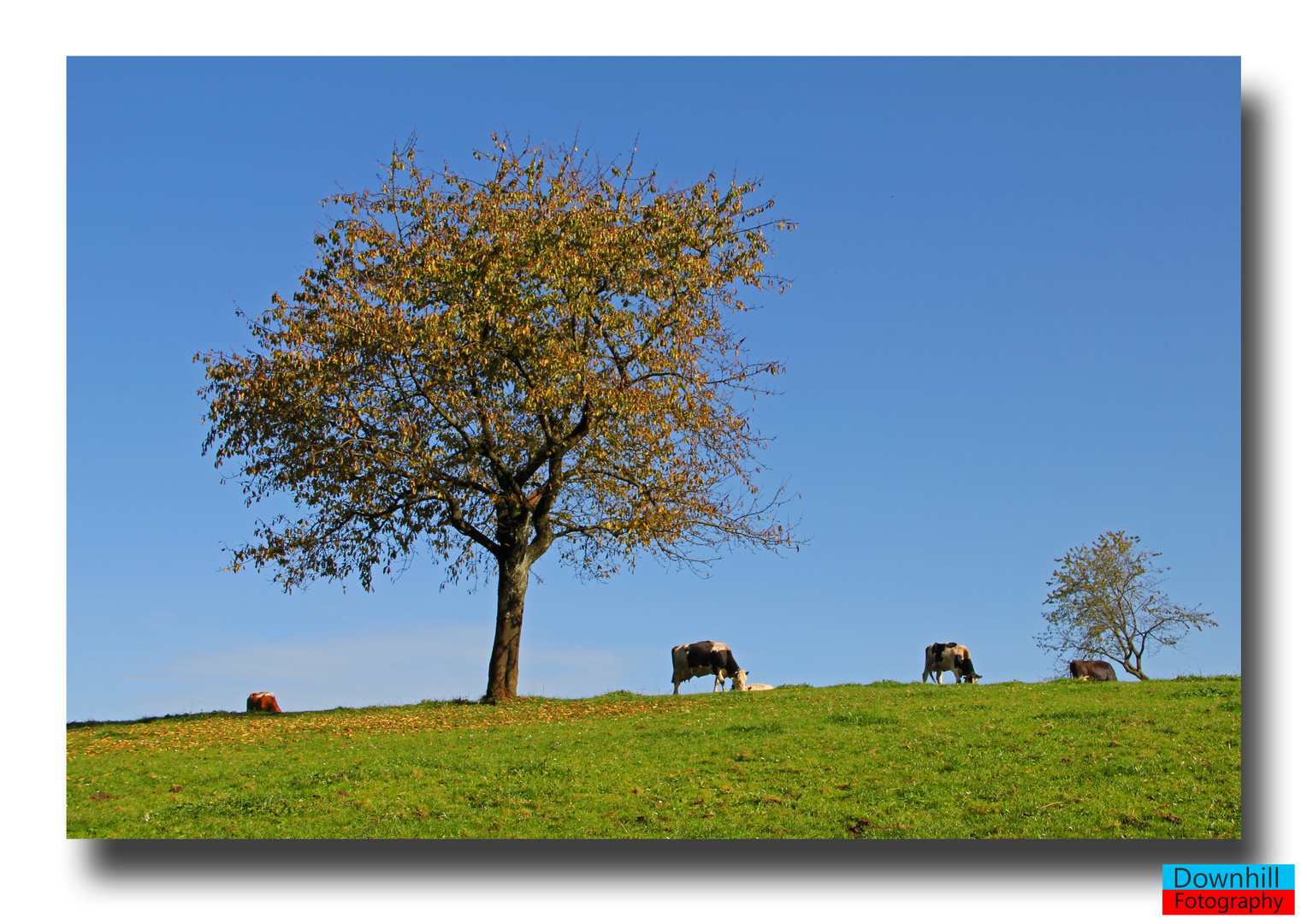 Herbst in Oberharmersbach NO.6