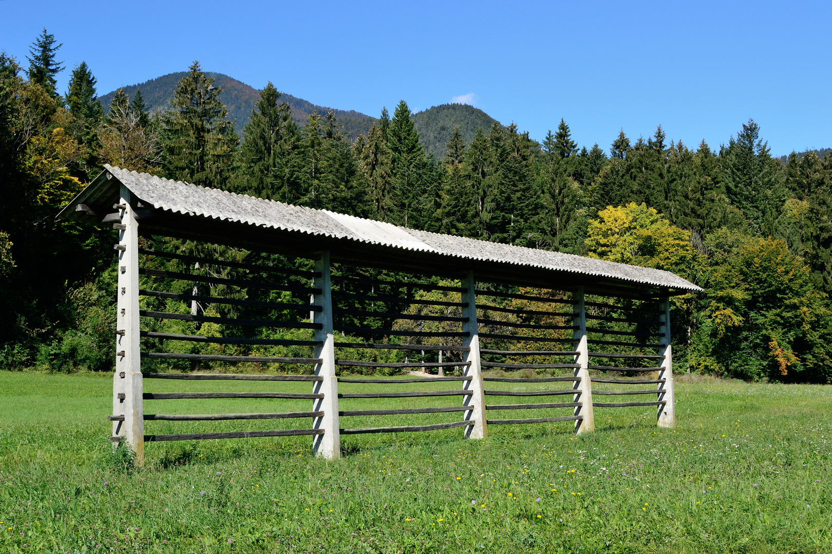 Herbst in Oberkrain