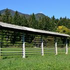 Herbst in Oberkrain