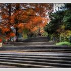 Herbst in Oberlaa in Wien