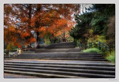 Herbst in Oberlaa in Wien