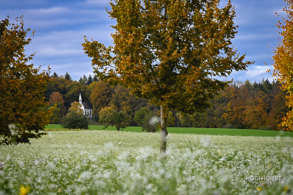 Herbst in Oberschwaben