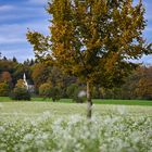 Herbst in Oberschwaben