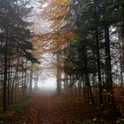 Herbst in Oberschwaben 4