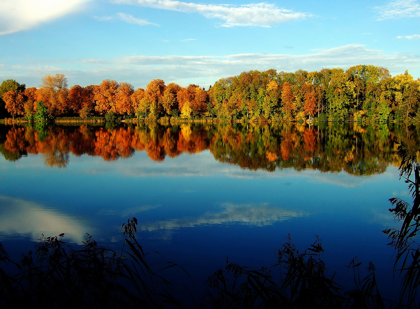 Herbst in Oberschwaben