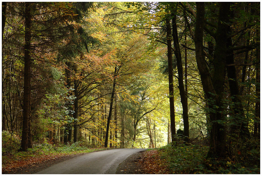 Herbst in Oberschwaben