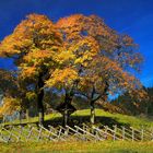 Herbst in Oberstdorf