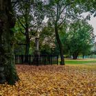 Herbst in Öl