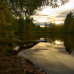 Herbst in Öl