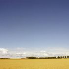 Herbst in Östergötland