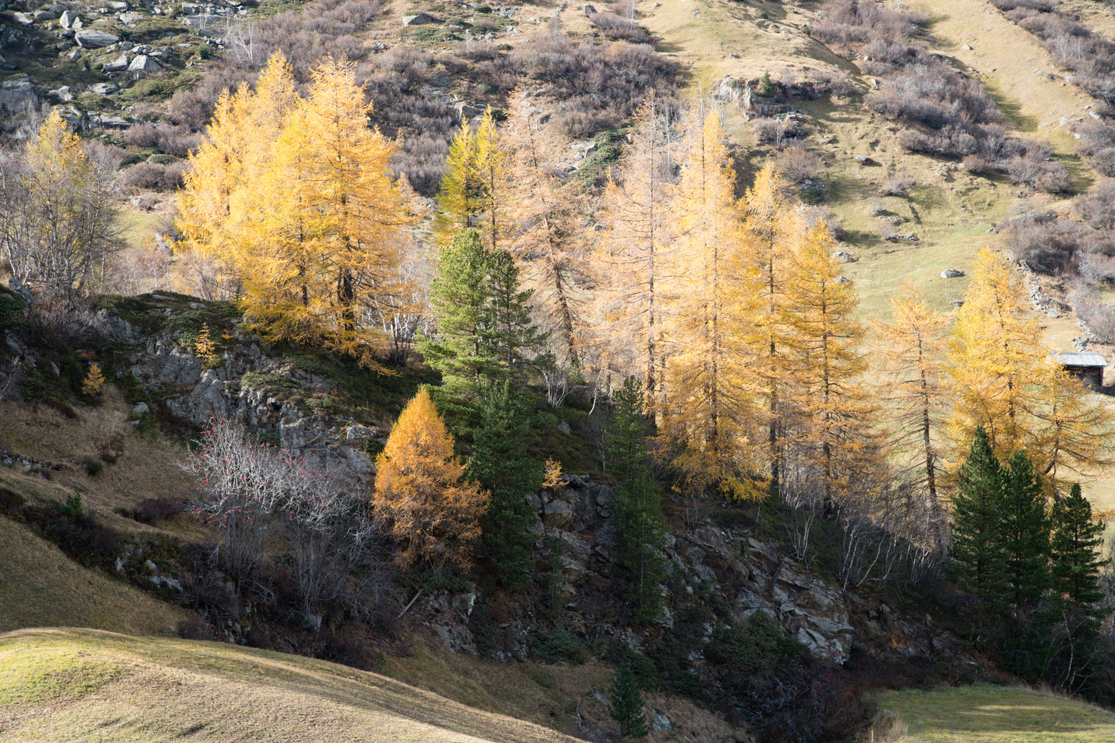 Herbst in Österreich