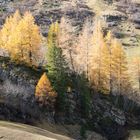 Herbst in Österreich