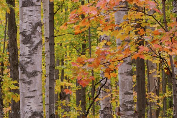 Herbst in Ontario Kanada