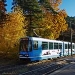 Herbst in Oslo