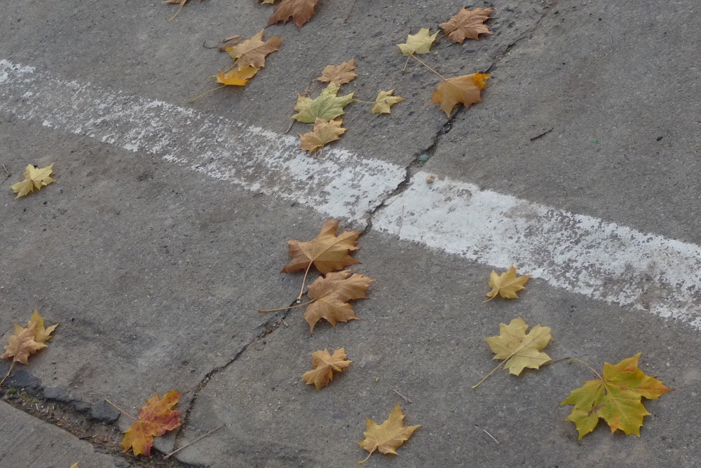 Herbst in Ost und West