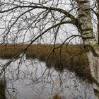 Herbst in Ostfriesland