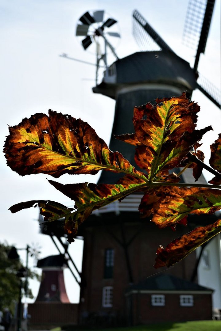 Herbst in Ostfriesland