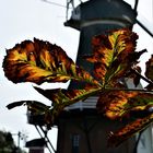 Herbst in Ostfriesland