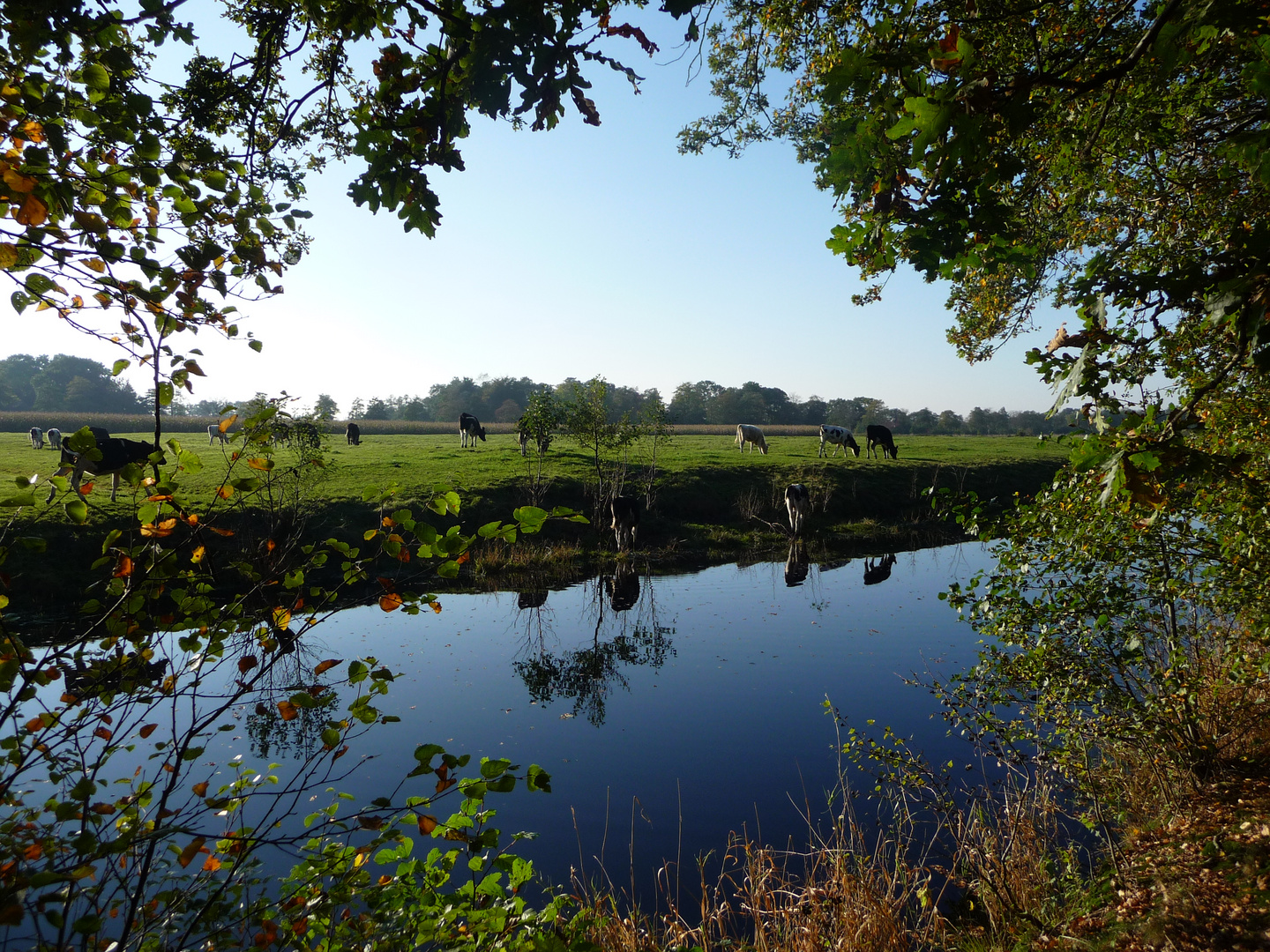 Herbst in Ostfriesland