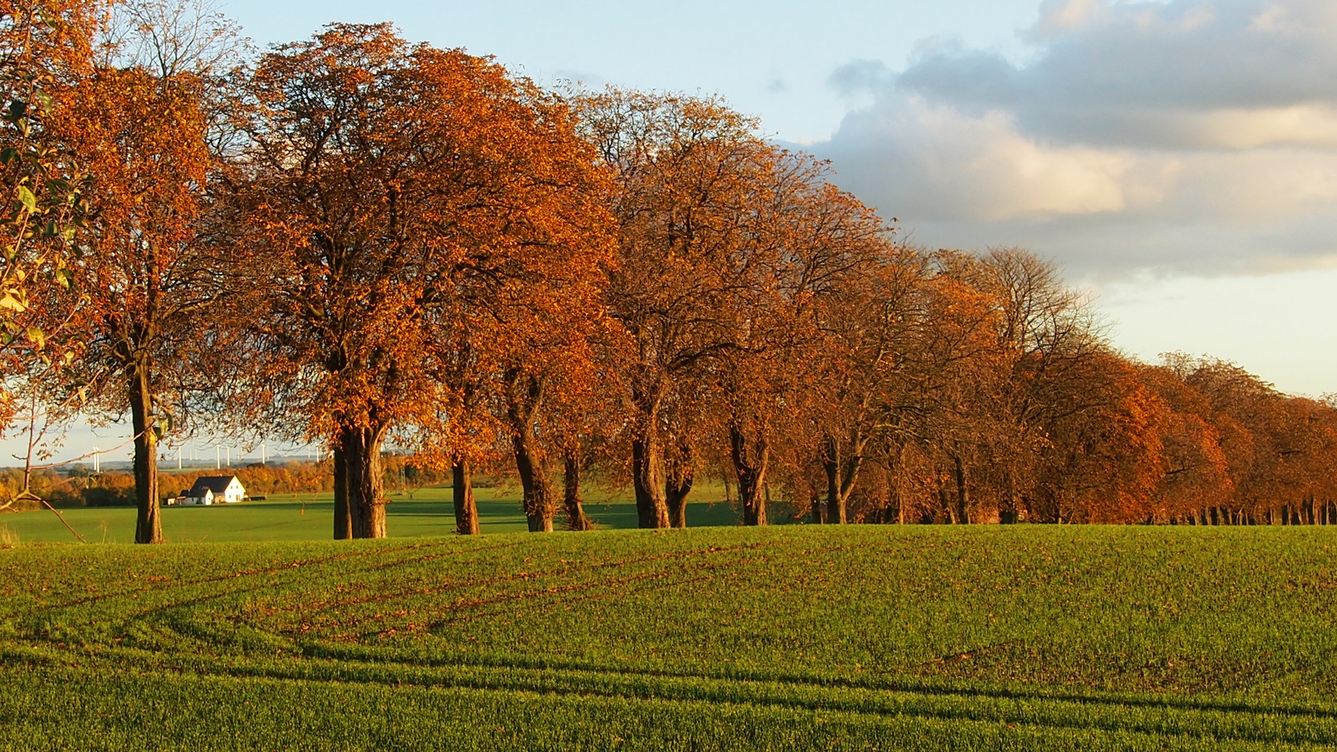 Herbst in Ostholstein