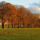 Herbst in Ostholstein