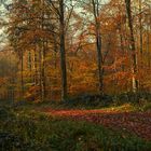 Herbst in Ostholstein