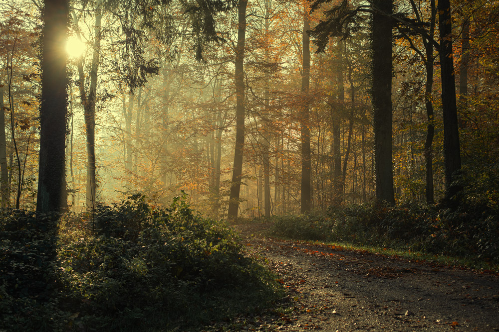 Herbst in Ostholstein