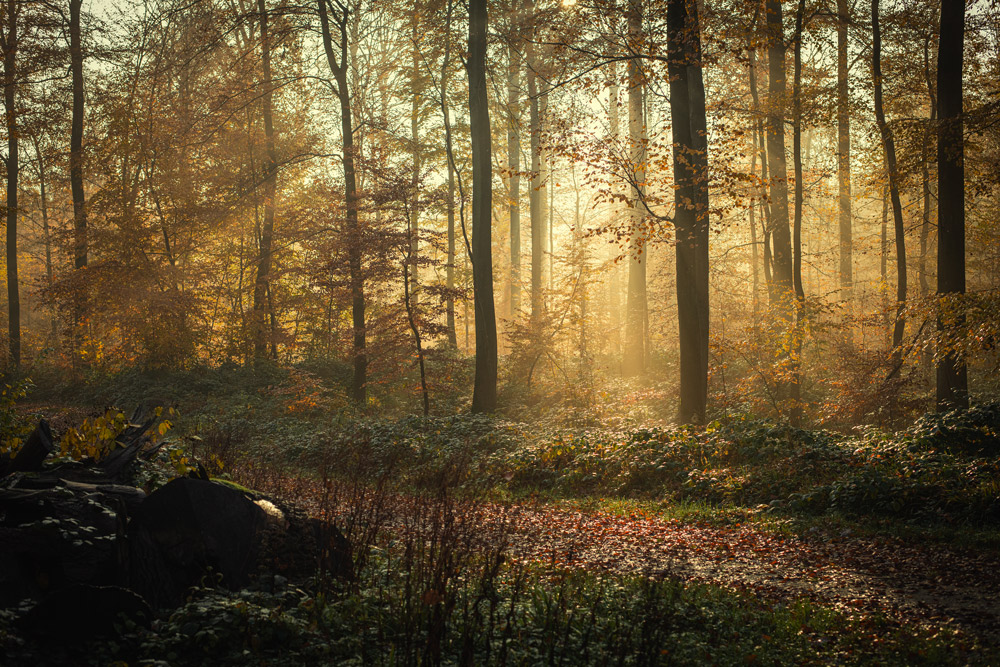 Herbst in Ostholstein