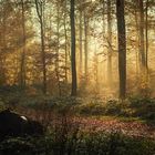 Herbst in Ostholstein