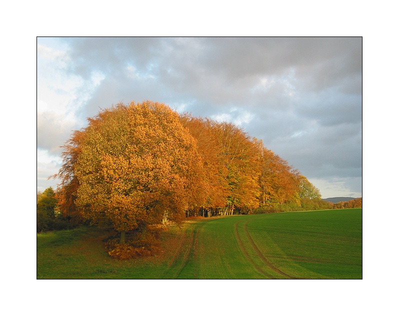 Herbst in Ostwestfalen