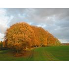 Herbst in Ostwestfalen