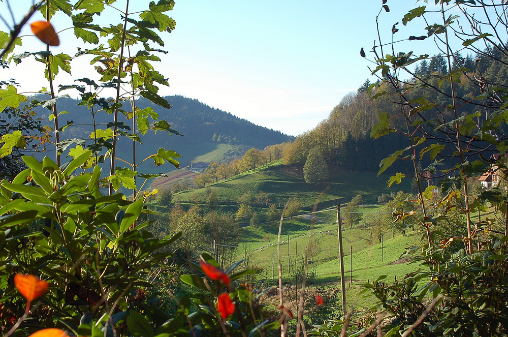 Herbst in Ottenhöfen