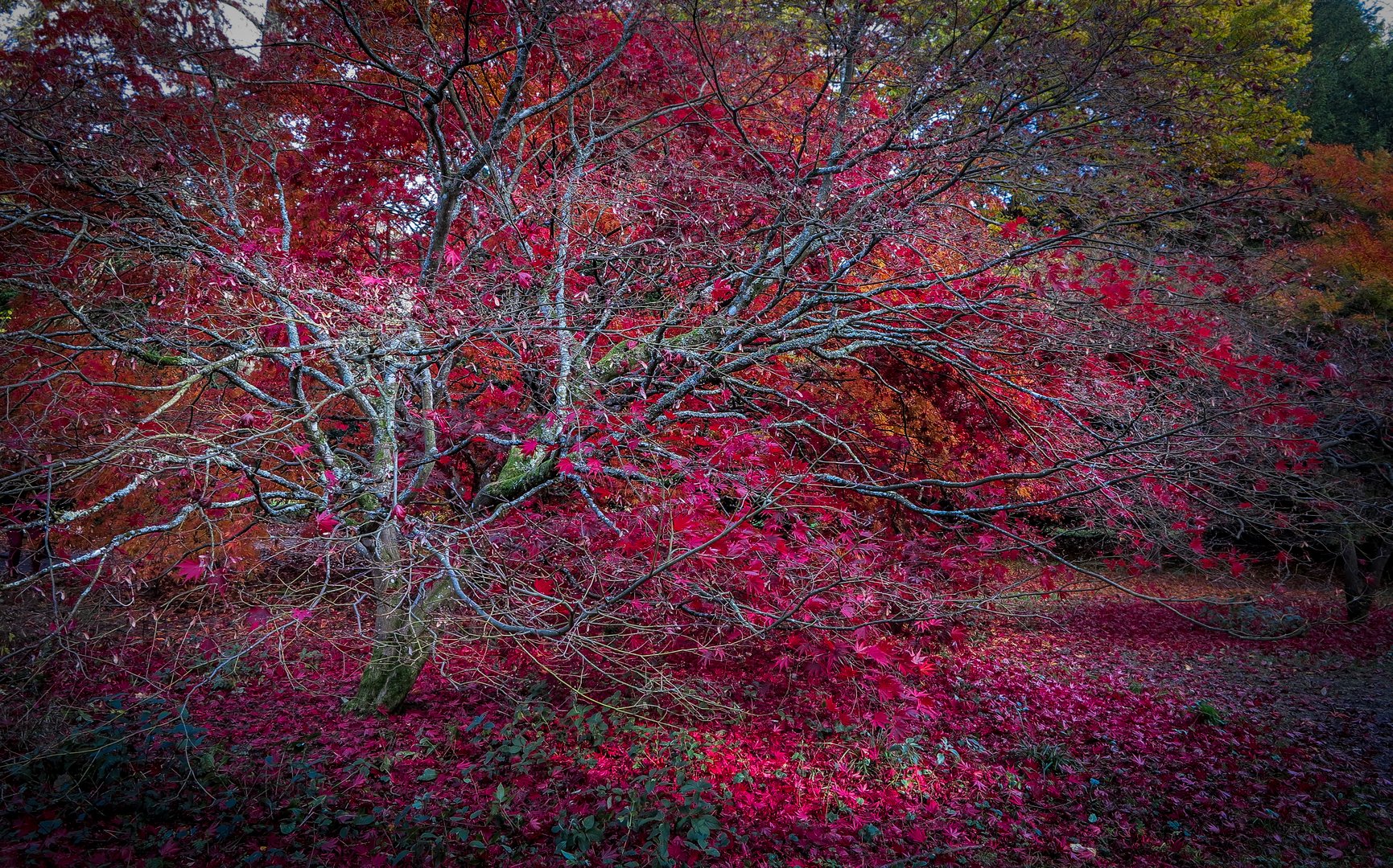 Herbst in Oxford